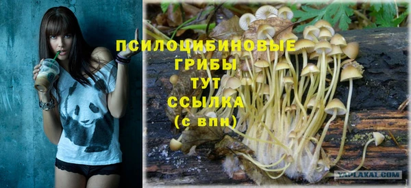 PSILOCYBIN Балабаново