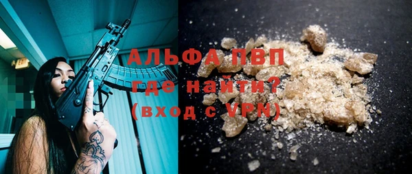 PSILOCYBIN Балабаново
