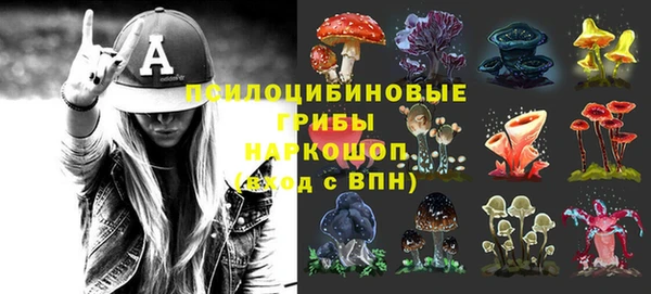 ГАЛЛЮЦИНОГЕННЫЕ ГРИБЫ Баксан