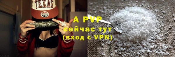 PSILOCYBIN Балабаново